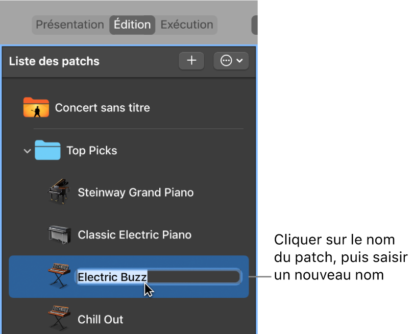 Figure. Attribution de nom à un patch dans la liste des patchs.