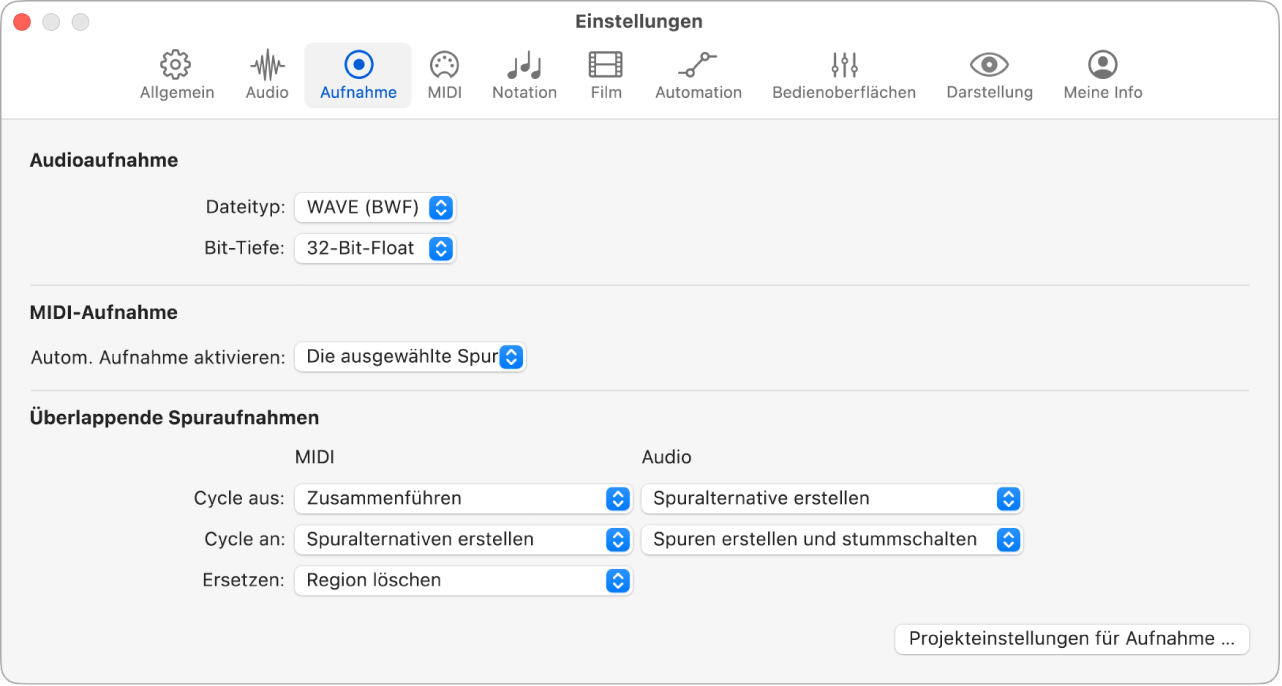 Abbildung. Einstellungen „Aufnahme“.