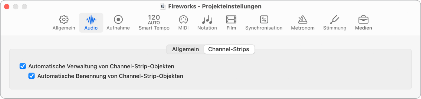 Abbildung. Projekteinstellungen „Channel-Strips“.