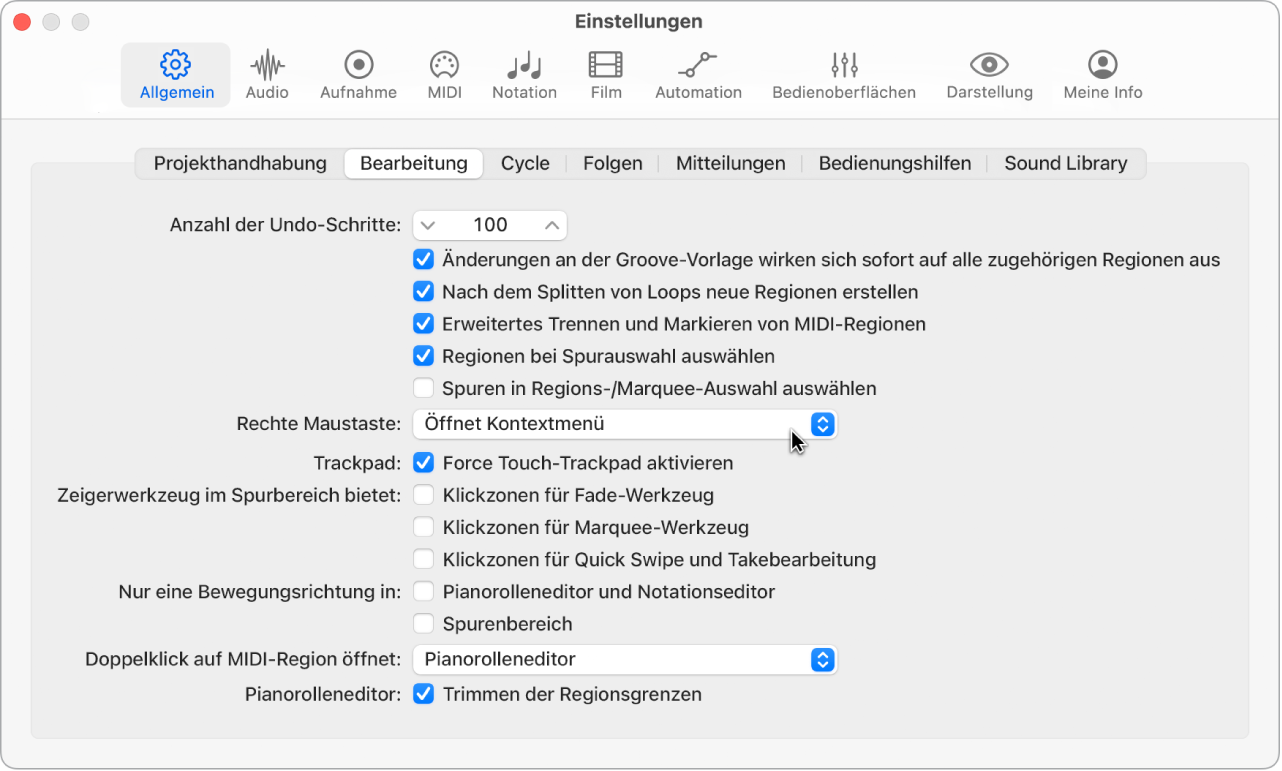 Abbildung. Markierungsfelder „Zeigerwerkzeug“ im Bereich „Bearbeiten“ in den allgemeinen Einstellungen