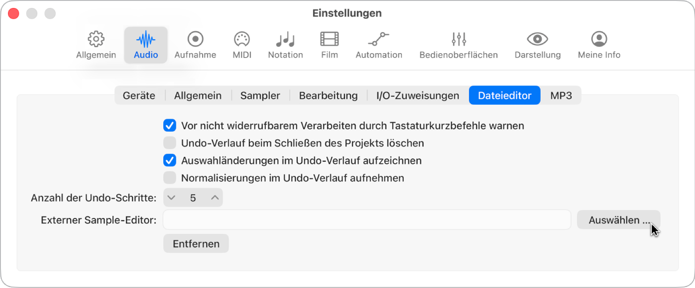 Abbildung. Bereich „Dateieditor“ in den Audioeinstellungen