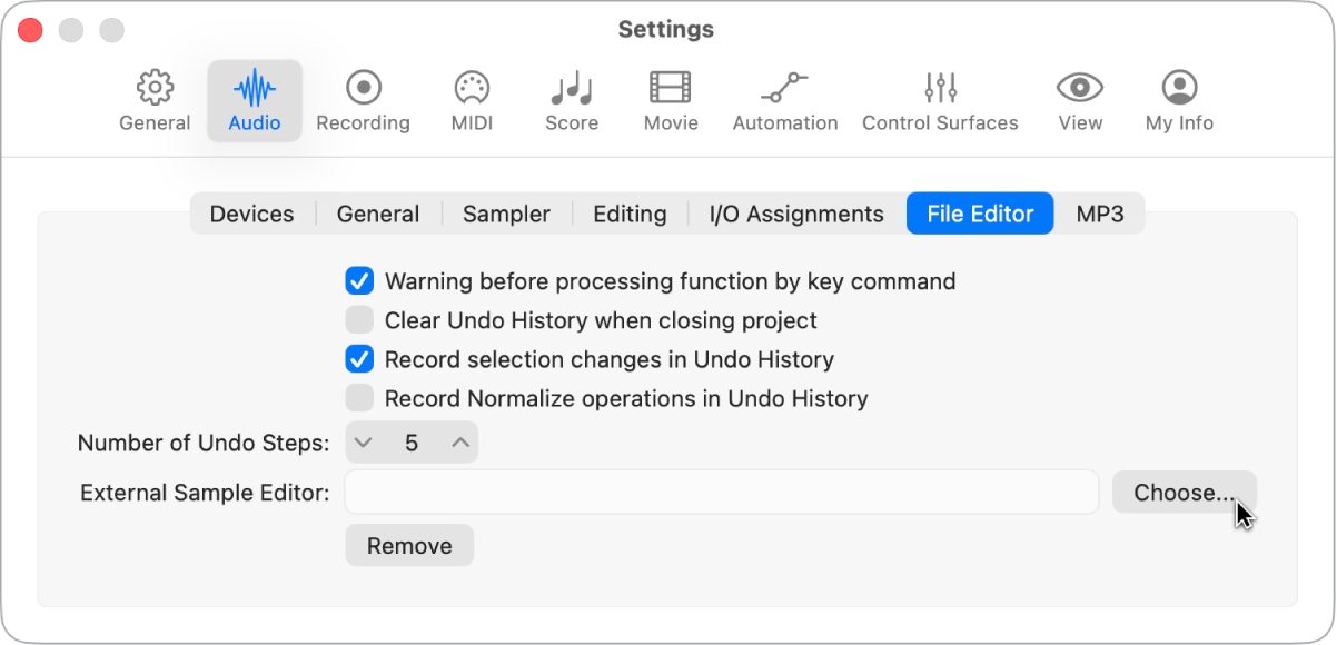 Figure. File Editor pane in the Audio settings.