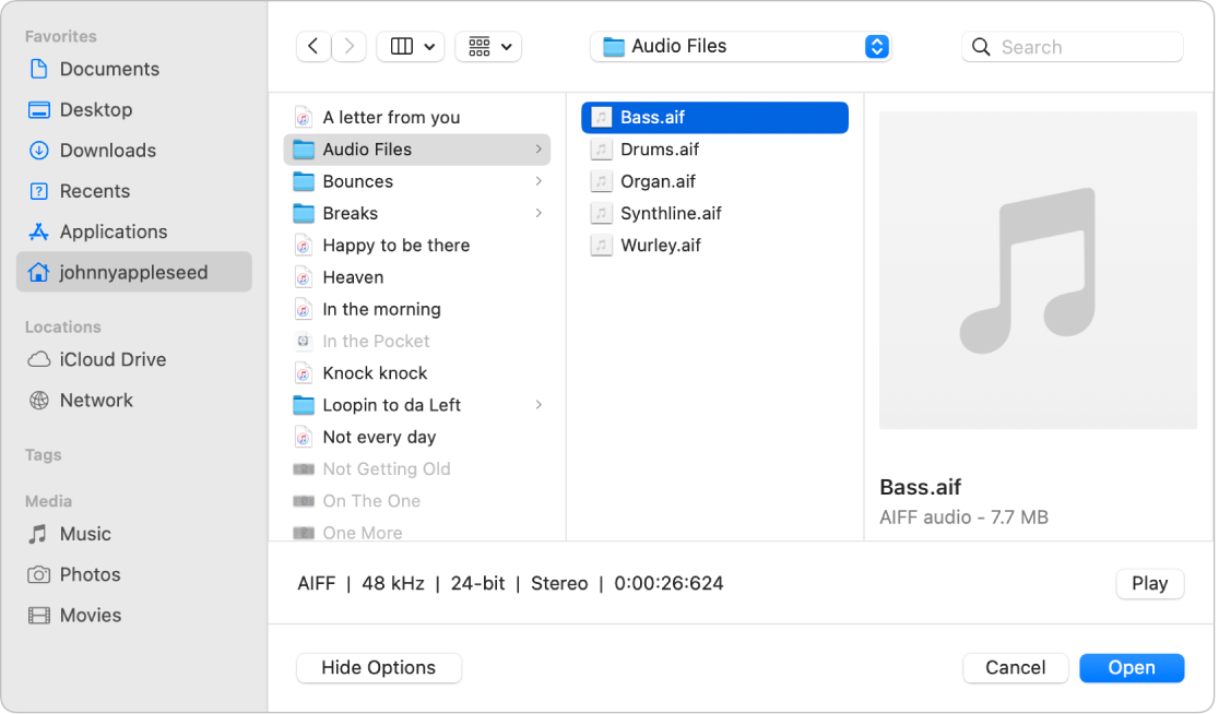 Figure. Open File dialog.