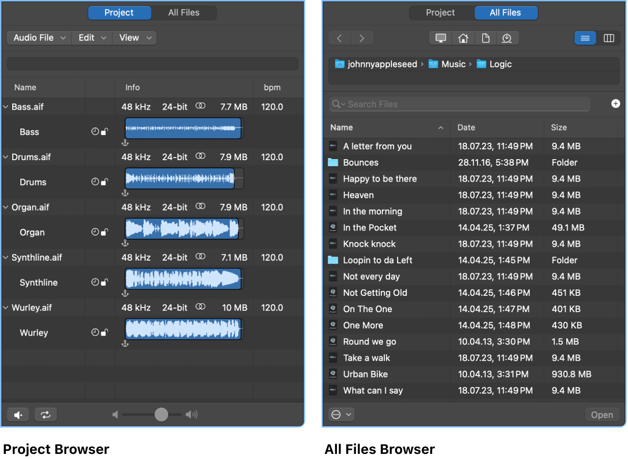 Figure. Project Audio Browser and All Files Browser.
