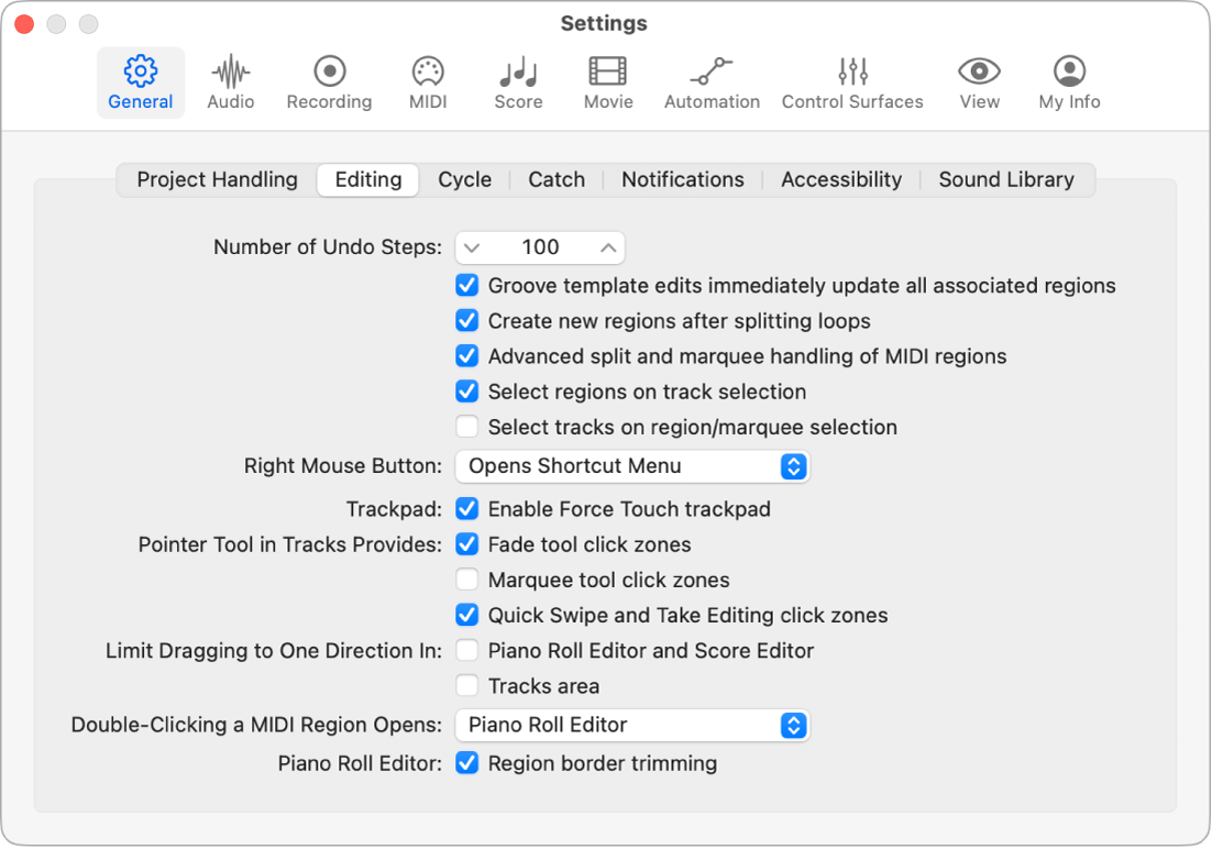 Figure. “Number of Undo Steps” field in the Editing pane in the General settings.
