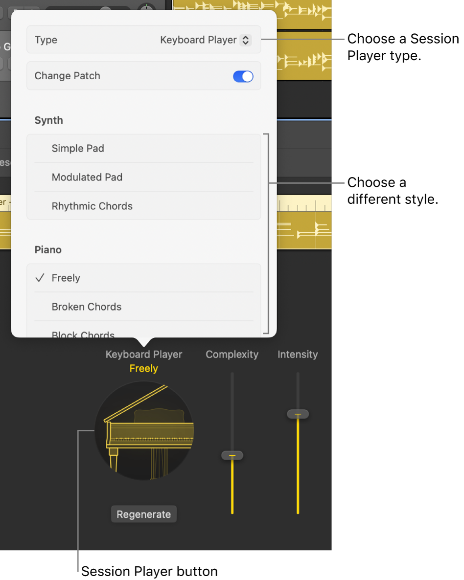 Figure. The open Session Player dialog.