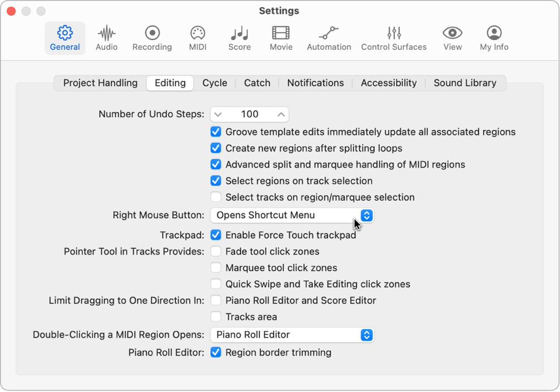 Figure. Pointer Tool checkboxes in the Editing pane in the General settings.