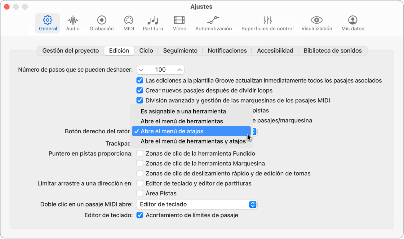Ilustración. Menú “Botón derecho del ratón” en el panel Edición de los ajustes generales.