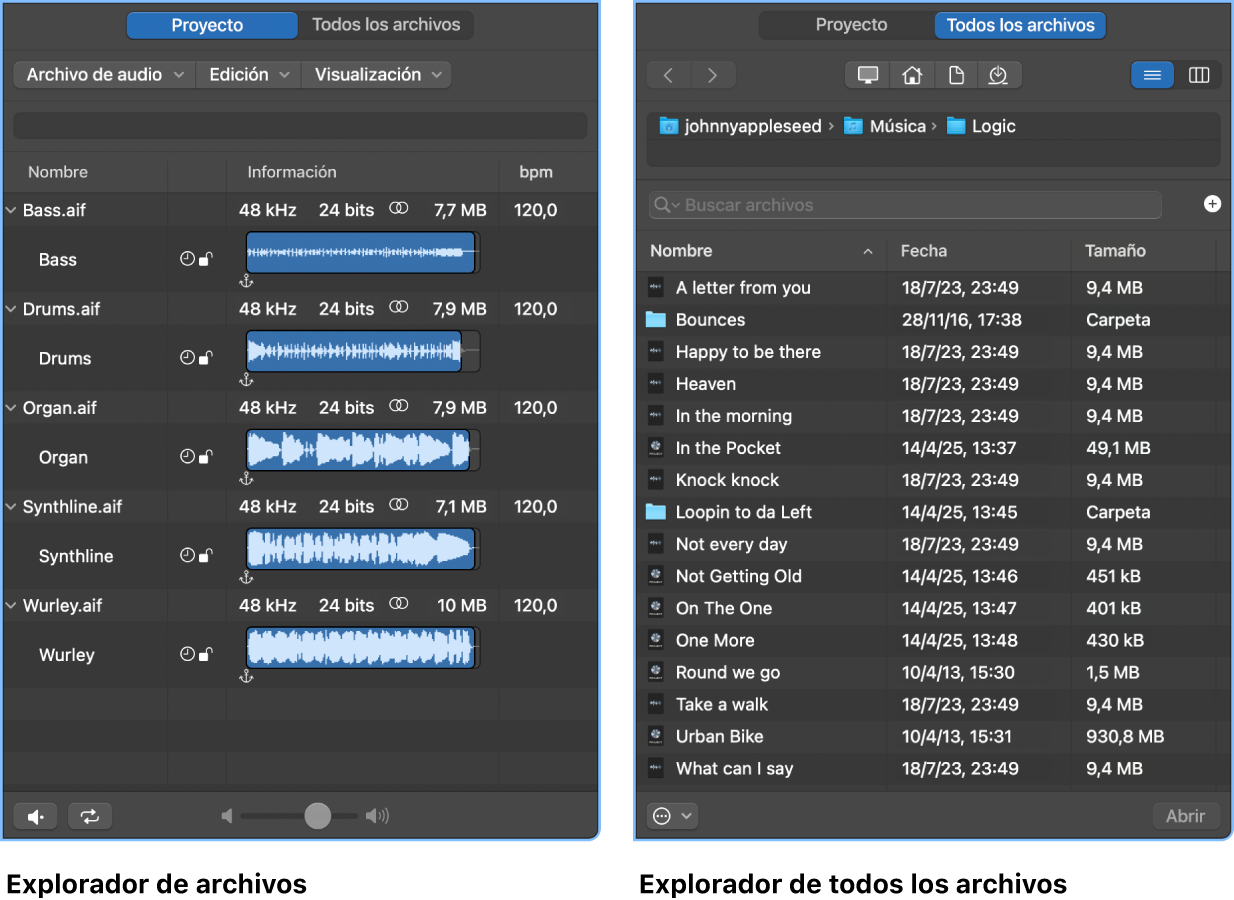 Ilustración. Explorador de audio del proyecto y explorador de todos los archivos.