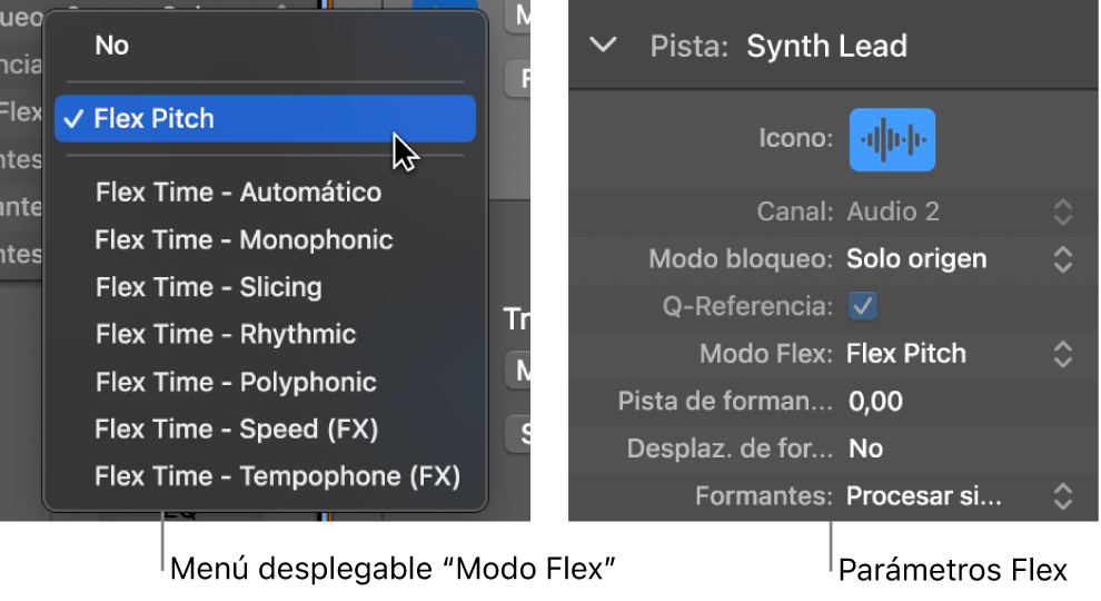 Ilustración. Inspector de pistas con algoritmos y parámetros Flex.
