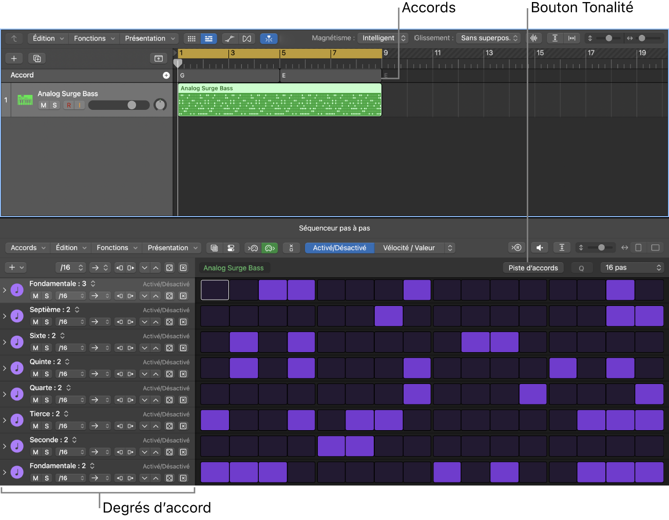 Figure. Séquenceur pas à pas avec les en-têtes de rangées montrant des degrés d’accord.