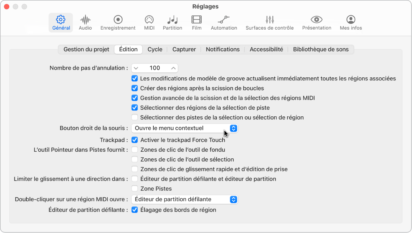 Figure. Cases Outil Pointeur dans la sous-fenêtre Édition des réglages généraux.