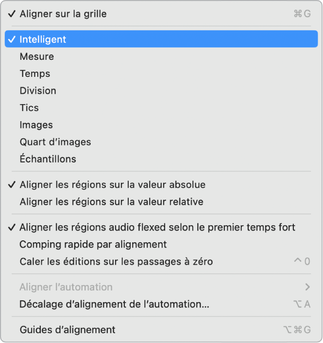 Figure. Menu local Magnétisme pour la zone Pistes.