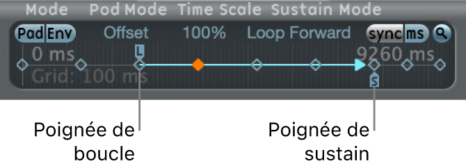 Figure. Poignées de sustain et de boucle.