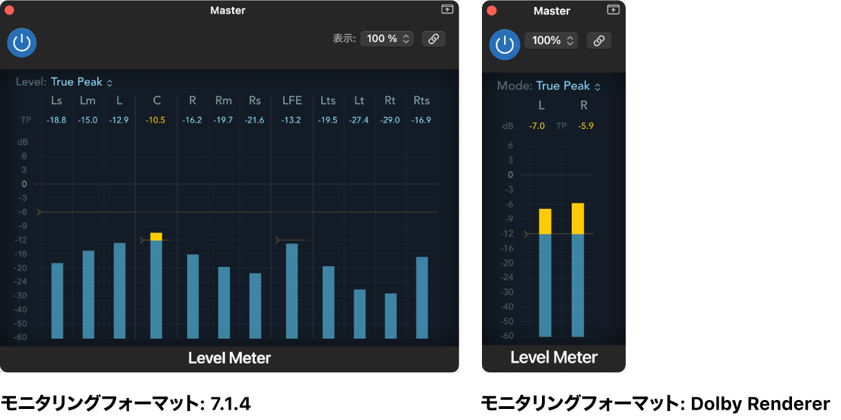 図。異なるモニタリングフォーマットでのLevel Meterの表示