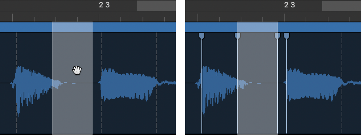 그림. 마커 경계와 이전 및 다음 트랜지언트의 Flex 마커를 표시.