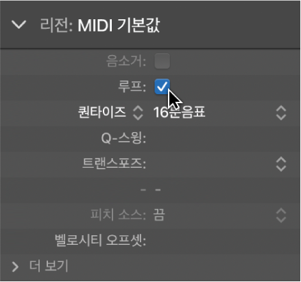 그림. 리전 인스펙터의 루프 파라미터 체크상자.