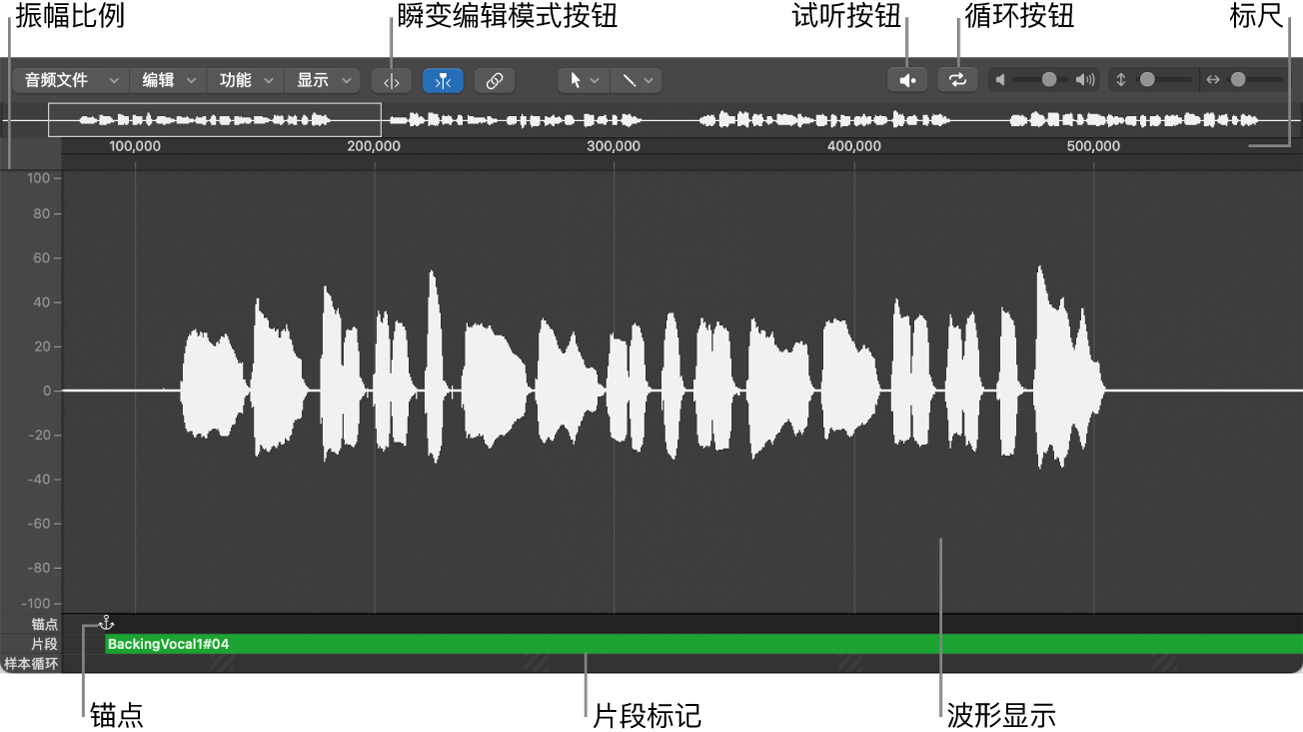 图。显示主要元素的采样编辑器。