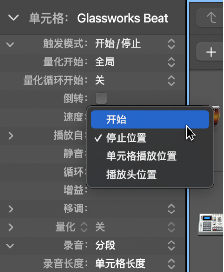 图。单元格检查器中的“播放自”设置。