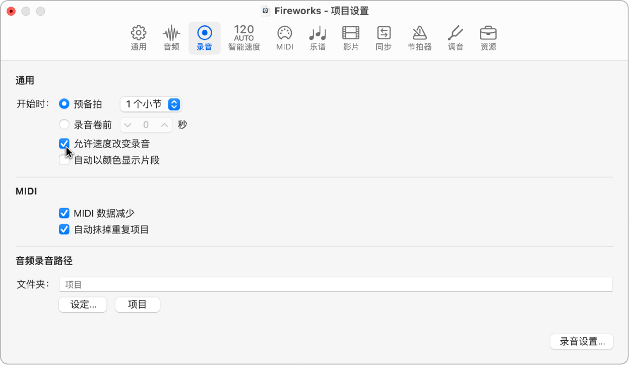 图。“录音项目设置”面板。