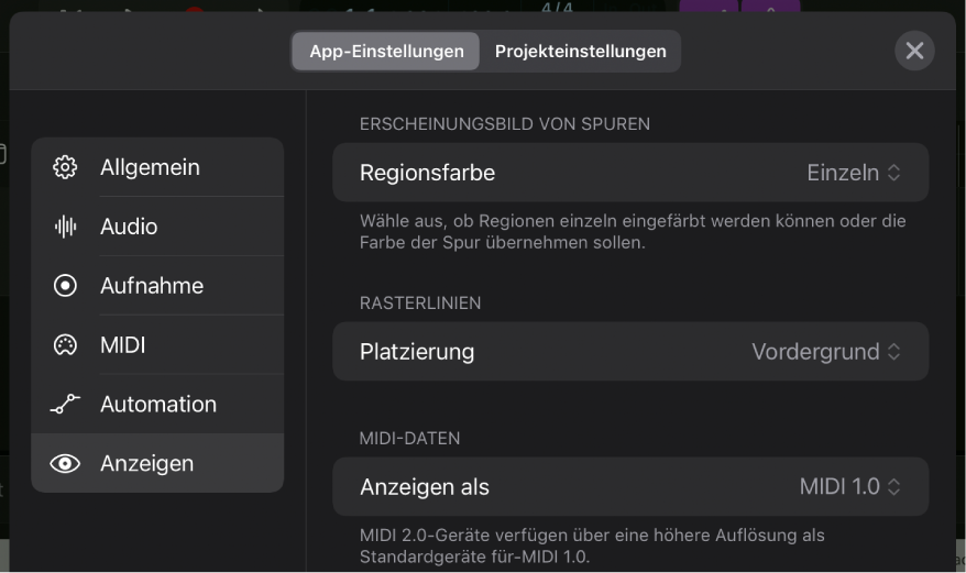 Der Einstellungsbereich „Ansicht“.
