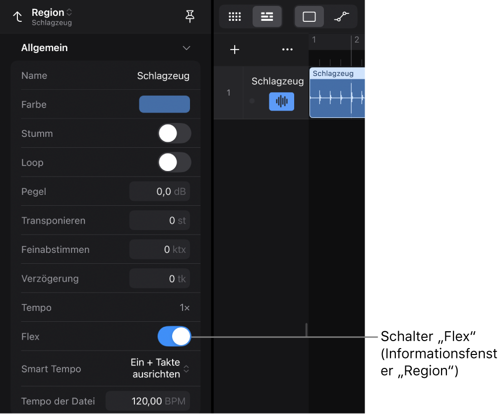 Abbildung. Das Informationsfenster „Region“ zeigt den Schalter „Flex“ für Apple Loops für Audio.