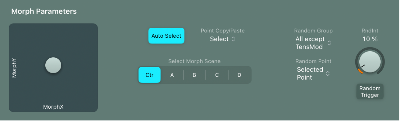 Figure. Morph Randomize parameters.