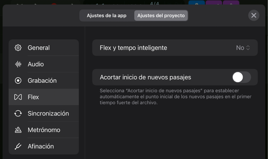 Ajustes del proyecto de Flex.