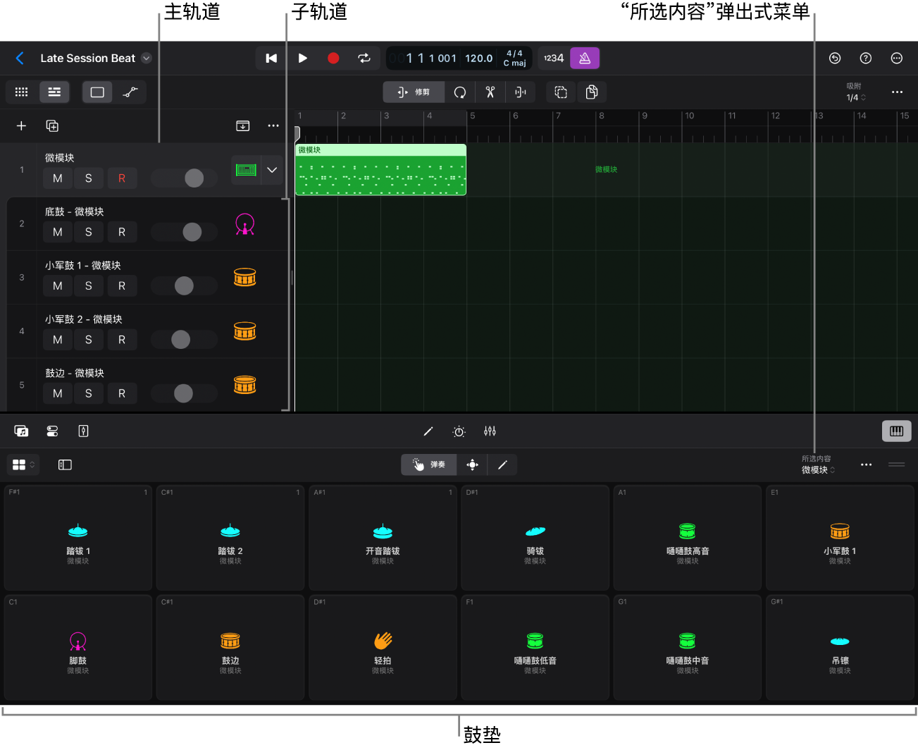 展开的 Track Stack 和 Drum Machine Designer 弹奏表面。