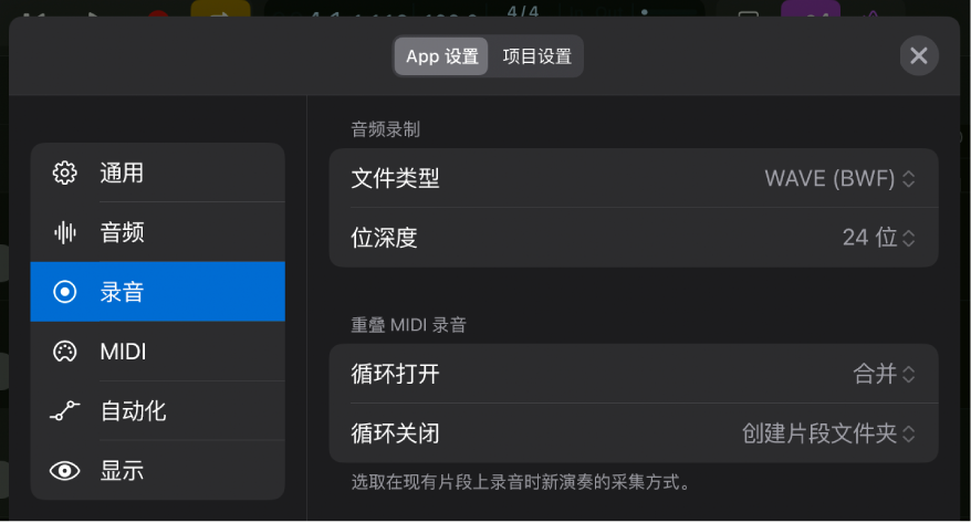 “录音”设置。