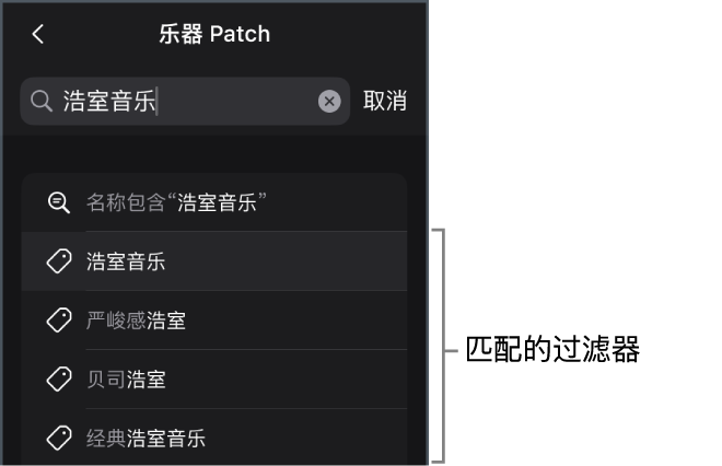 图。浏览器的“乐器 Patch”视图中关键词“浩室”的建议搜索结果。