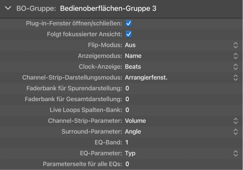 Abbildung. Abbildung der Display-Parameter der Bedienoberflächengruppe.