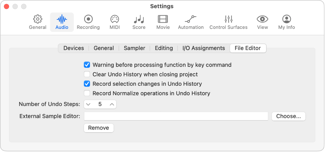 Figure. Audio File Editor settings.