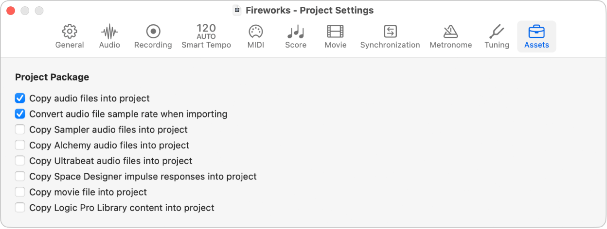 Figure. Assets project settings.