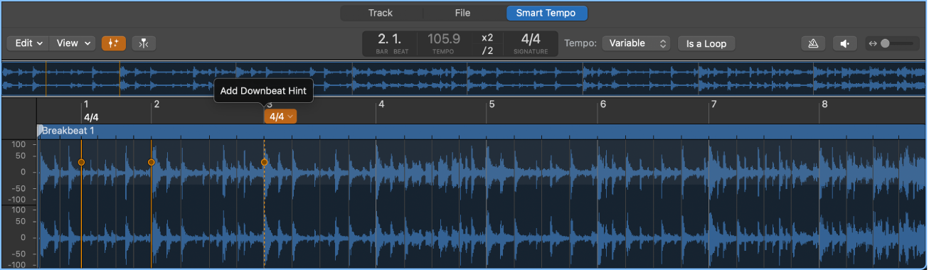 Figure. Smart Tempo Editor with audio file and downbeat hints.