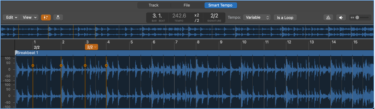 Figure. Smart Tempo Editor showing downbeat hints, beat hints, and time signature hints.
