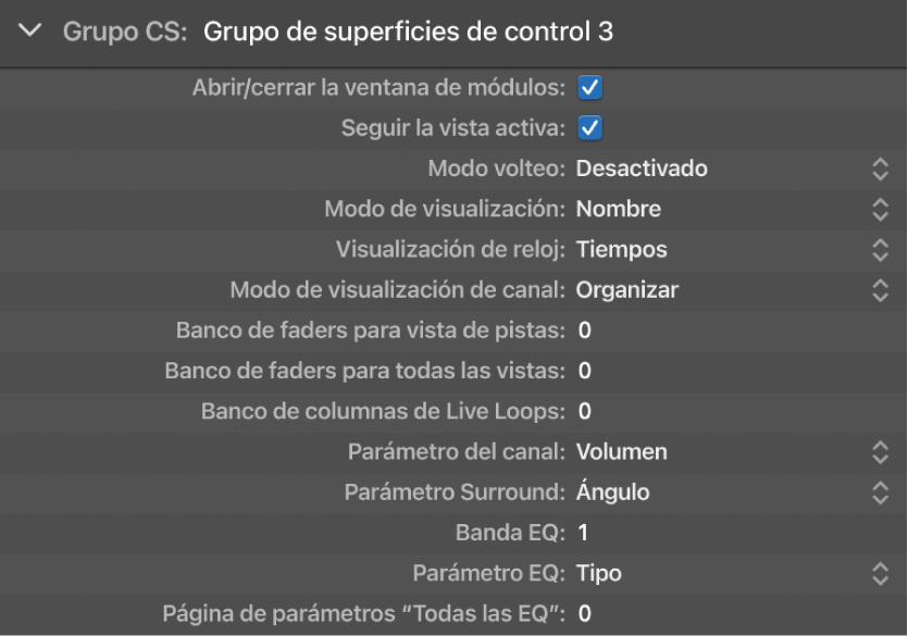 Ilustración. Imagen de los parámetros de visualización del grupo de superficies de control.