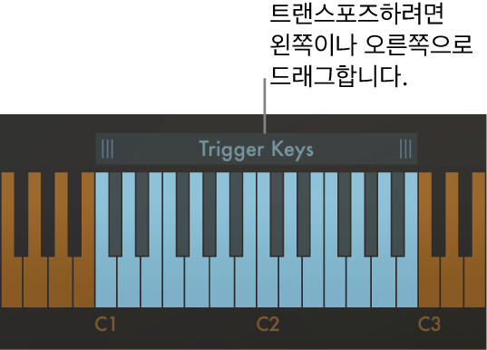 그림. 코드 트랜스포지션 동작.