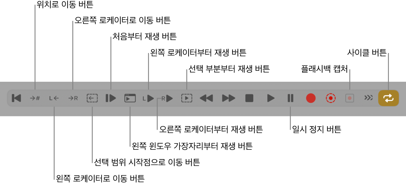 그림. 모든 추가 버튼이 표시된 트랜스포트 버튼.
