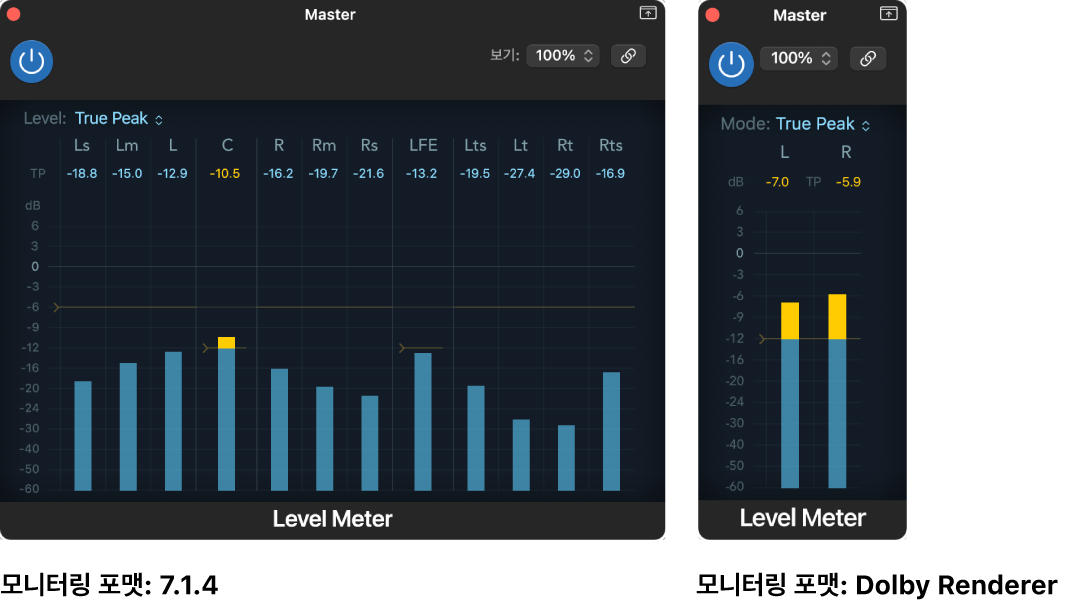 그림. 다양한 모니터링 포맷의 Level Meter 표시.