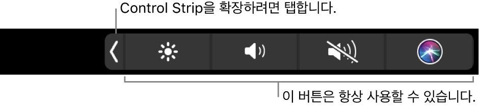 그림. Touch Bar Control Strip.