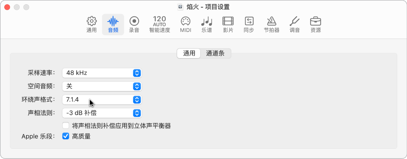 图。音频项目设置面板。