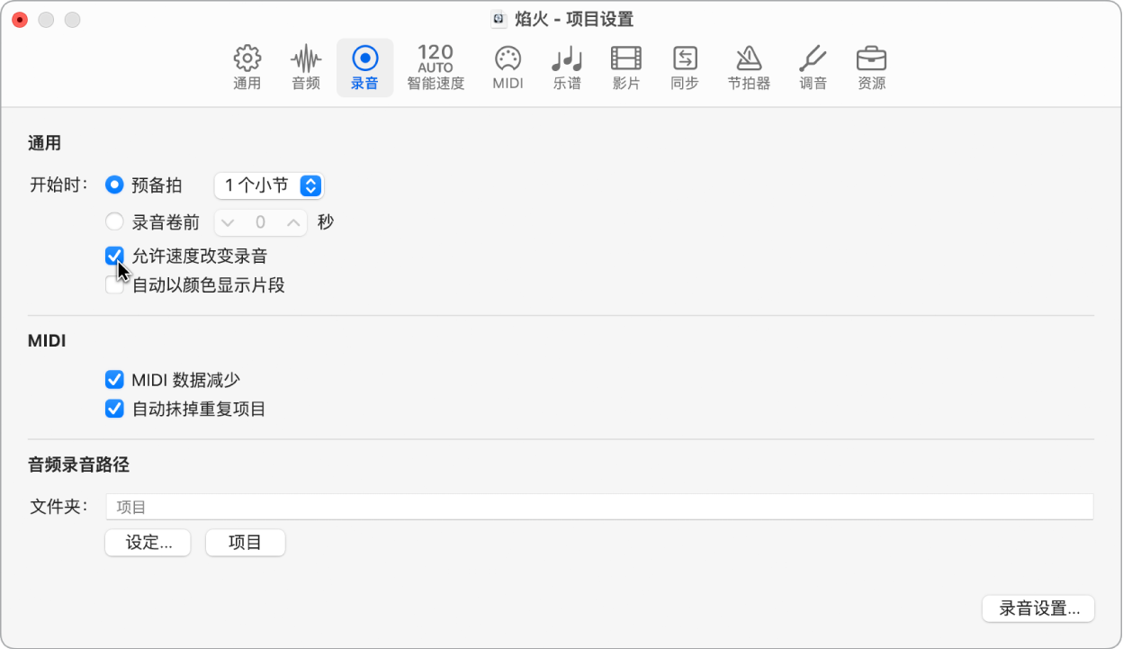 图。“录音项目设置”面板。