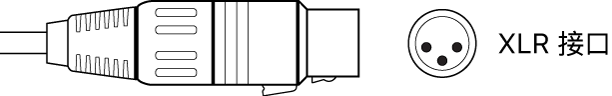 图。XLR 接口插图。