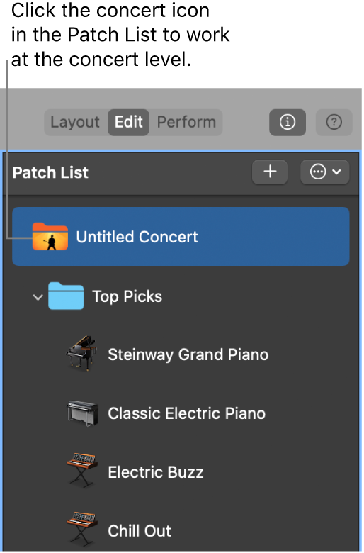 Abbildung. Auswahl des Concert-Symbols in der Patch-Liste