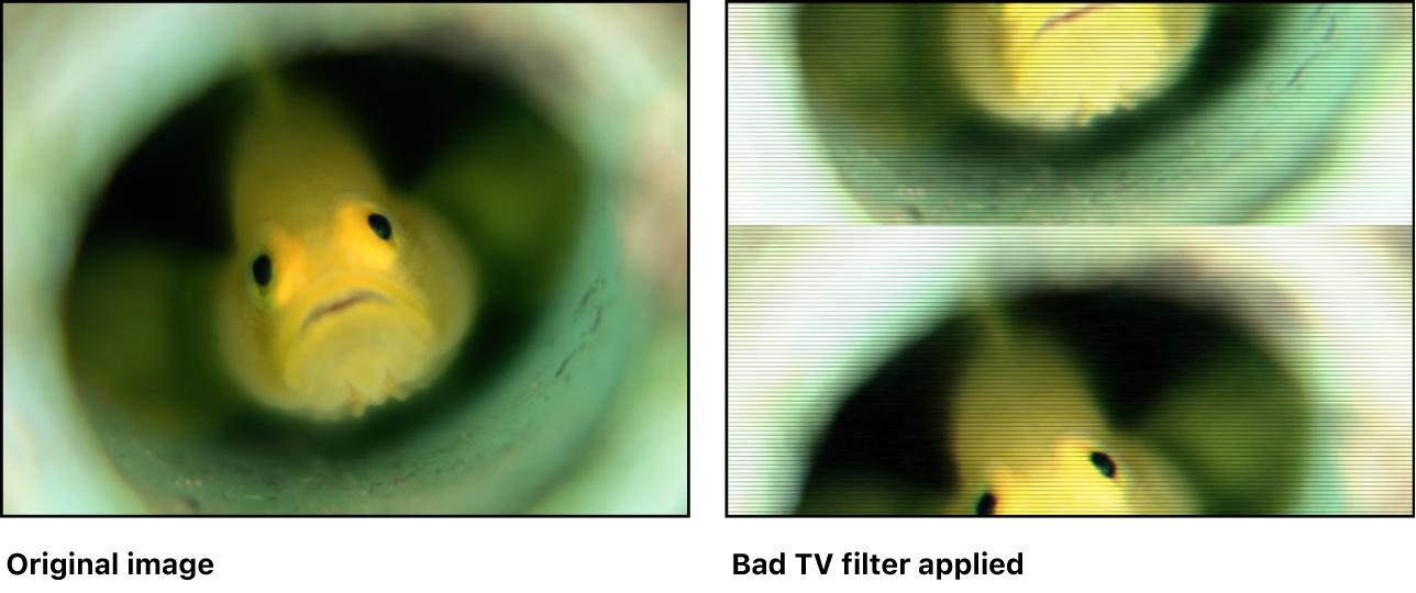 Canvas mit dem Effekt des Filters „TV-Störungen“