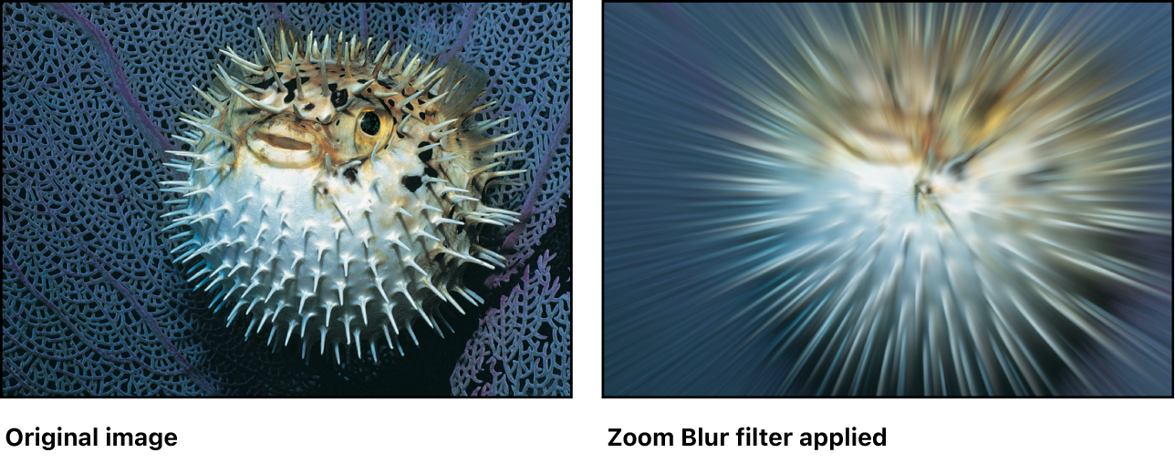 Lienzo con efecto del filtro “Zoom difuminado”