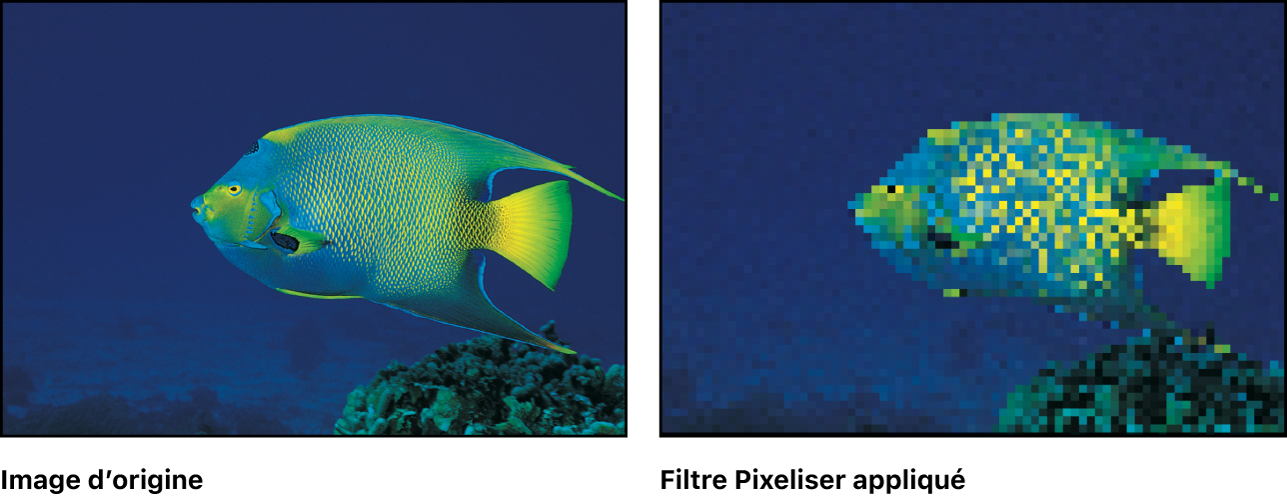 Canevas affichant l’effet du filtre Pixeliser