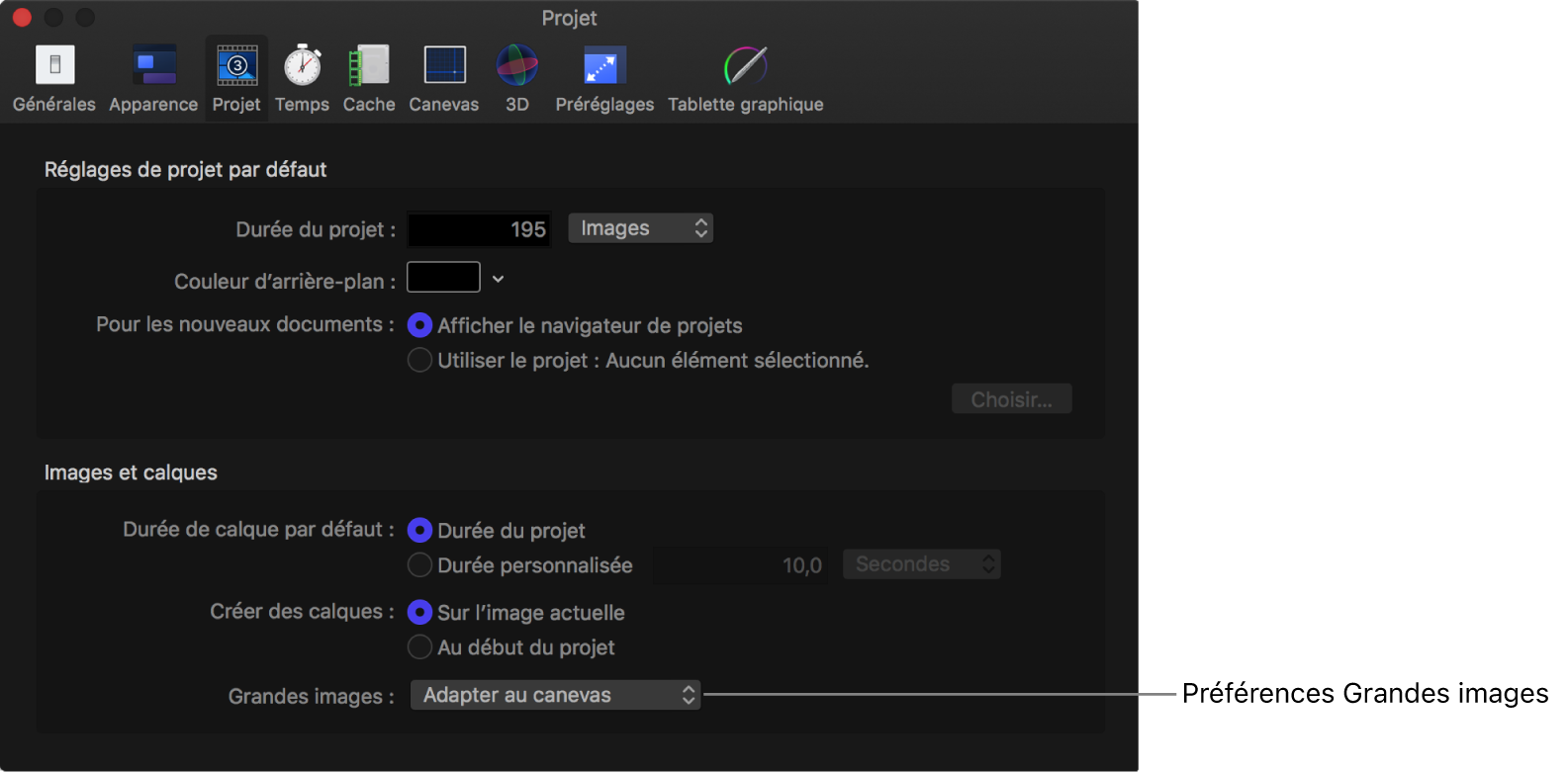 Fenêtre Réglages affichant une fenêtre de projet avec le menu local Grandes images réglé sur Adapter au canevas