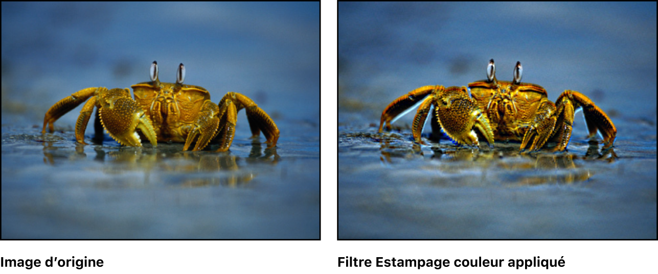 Canevas affichant l’effet du filtre Estampage couleur